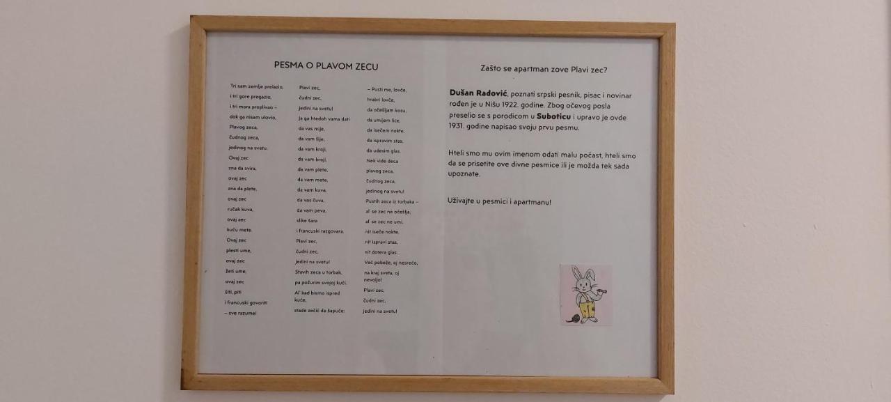 Plavi Zec Διαμέρισμα Σουμπότικα Εξωτερικό φωτογραφία
